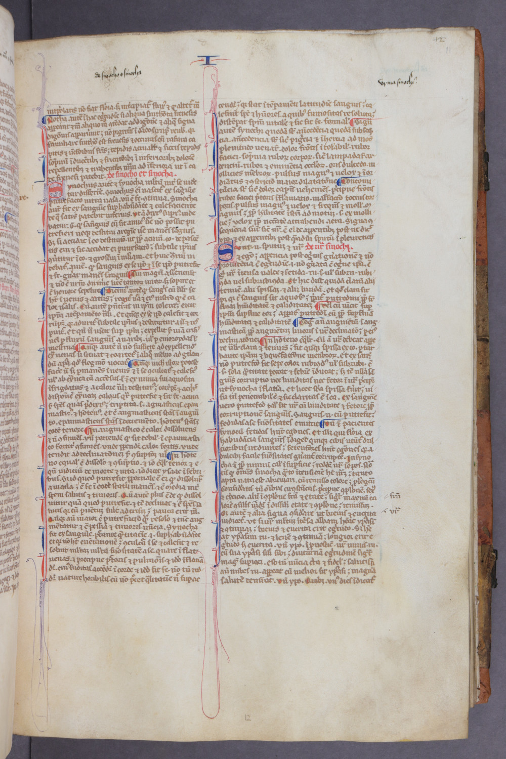 Folio 11 recto